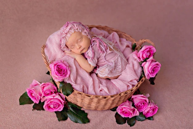 Birthday Girl In A Flower Basket