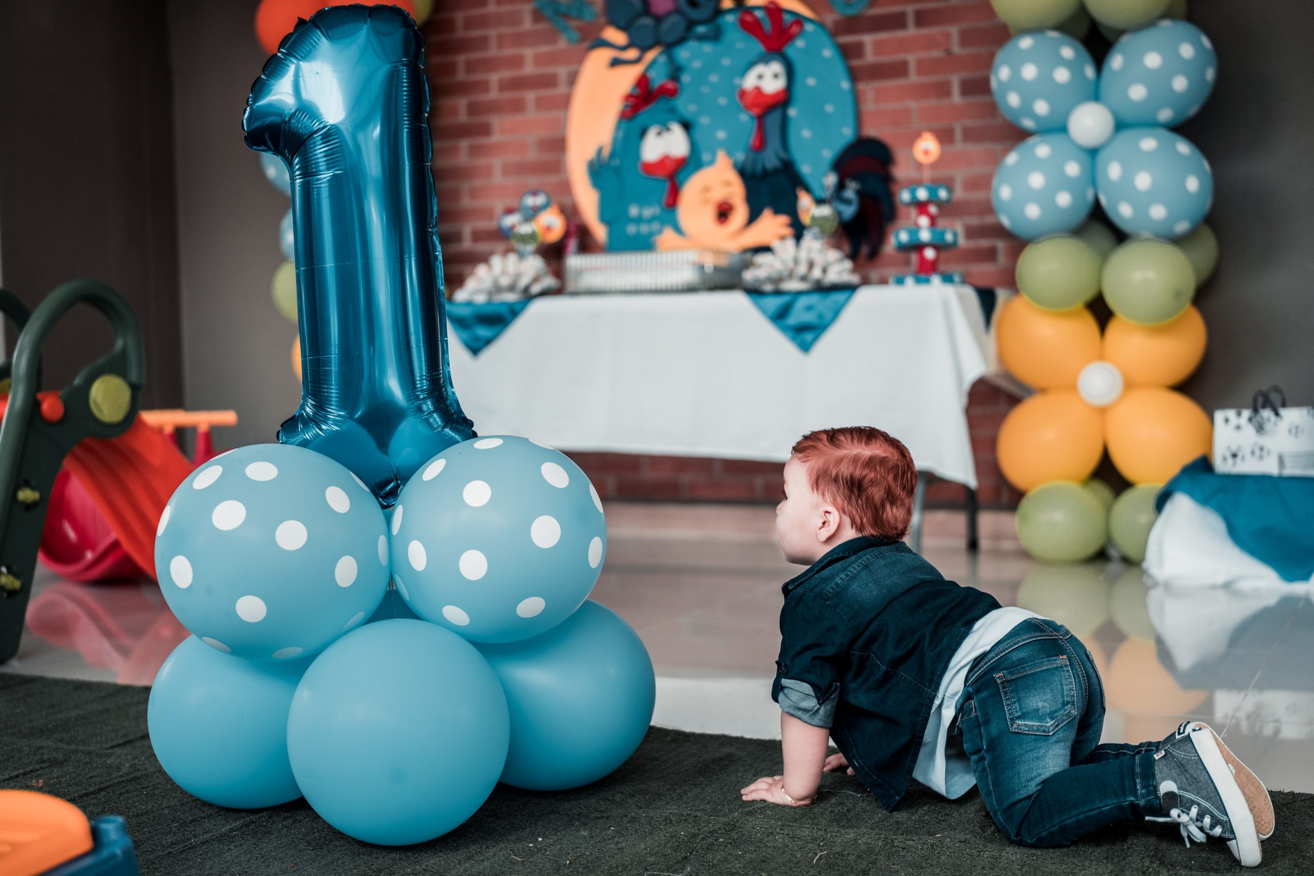 First Birthday Photoshoot Ideas