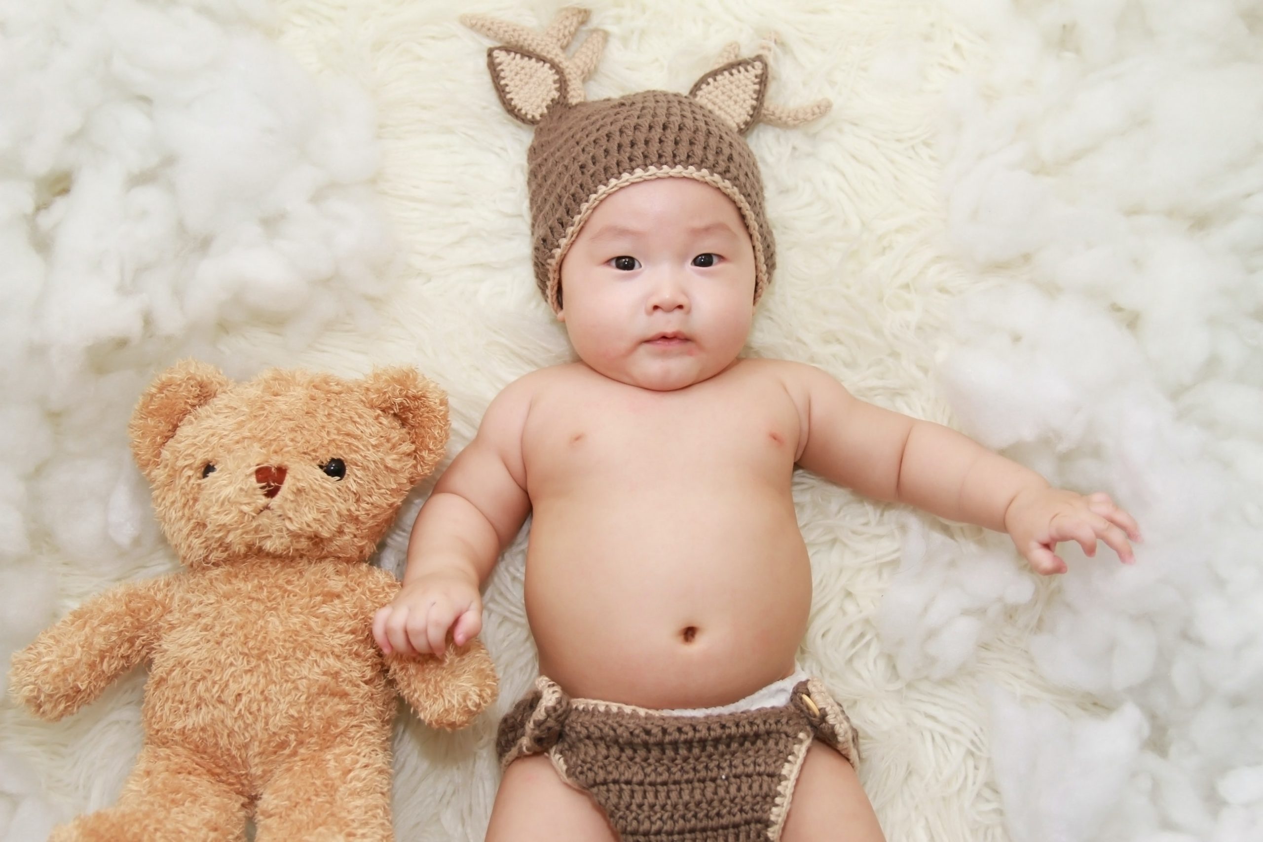 Stuffed Animals Photoshoot Idea