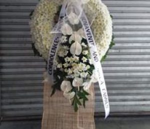 foo_img_image