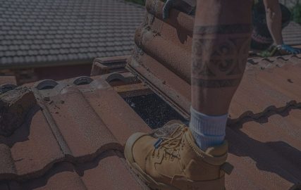 slider_img_image